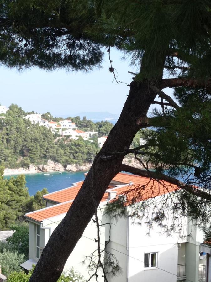 Nemira Beach Apartments 오미스 외부 사진